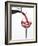 Pouring Red Wine into Glass from Carafe-Kröger & Gross-Framed Photographic Print