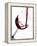 Pouring Red Wine into Wine Glass-Steve Lupton-Framed Premier Image Canvas
