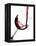 Pouring Red Wine into Wine Glass-Steve Lupton-Framed Premier Image Canvas