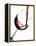 Pouring Red Wine into Wine Glass-Steve Lupton-Framed Premier Image Canvas