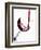 Pouring Red Wine into Wine Glass-Steve Lupton-Framed Photographic Print