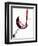 Pouring Red Wine into Wine Glass-Steve Lupton-Framed Photographic Print