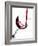 Pouring Red Wine into Wine Glass-Steve Lupton-Framed Photographic Print