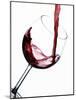 Pouring Red Wine into Wine Glass-Steve Lupton-Mounted Photographic Print