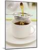 Pouring Tea Through a Tea Strainer-Winfried Heinze-Mounted Photographic Print