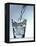 Pouring Water into a Glass-Bodo A^ Schieren-Framed Premier Image Canvas