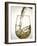 Pouring White Wine-Jean Gillis-Framed Photographic Print