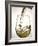 Pouring White Wine-Jean Gillis-Framed Photographic Print