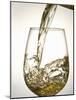 Pouring White Wine-Jean Gillis-Mounted Photographic Print