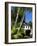 Pousada and Palms, Pousada Picinguaba, Costa Verde, South of Rio, Brazil, South America-Upperhall-Framed Photographic Print