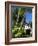 Pousada and Palms, Pousada Picinguaba, Costa Verde, South of Rio, Brazil, South America-Upperhall-Framed Photographic Print