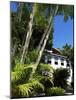 Pousada and Palms, Pousada Picinguaba, Costa Verde, South of Rio, Brazil, South America-Upperhall-Mounted Photographic Print