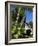 Pousada and Palms, Pousada Picinguaba, Costa Verde, South of Rio, Brazil, South America-Upperhall-Framed Photographic Print