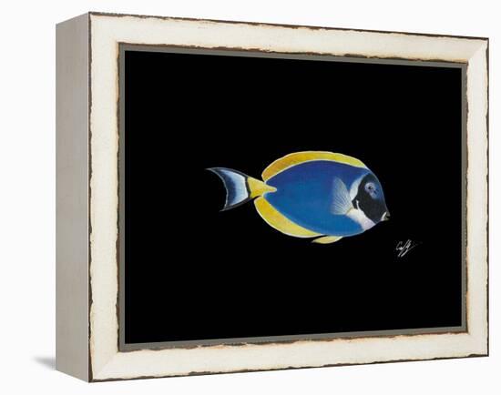 Powder Blue Tang-Durwood Coffey-Framed Premier Image Canvas