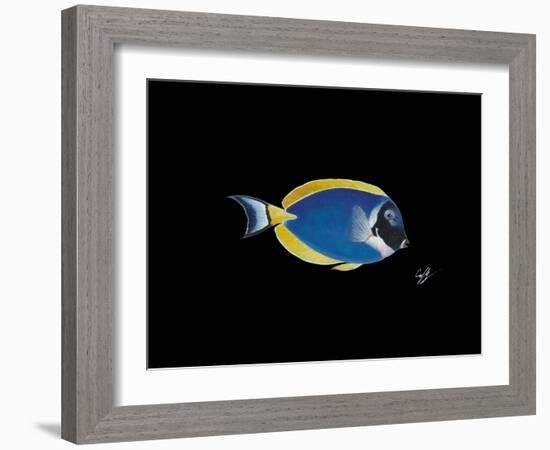 Powder Blue Tang-Durwood Coffey-Framed Giclee Print