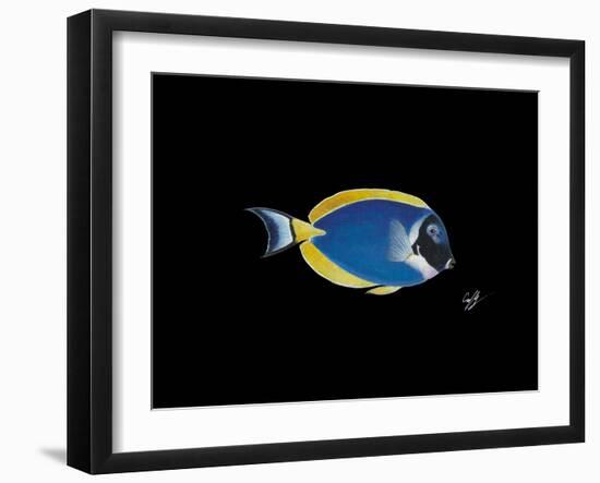 Powder Blue Tang-Durwood Coffey-Framed Giclee Print