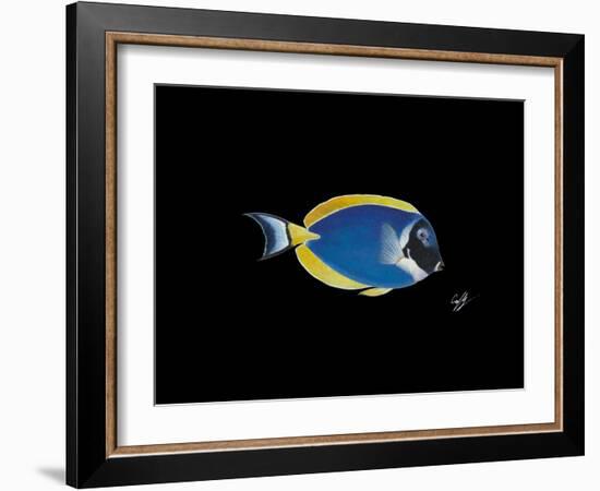 Powder Blue Tang-Durwood Coffey-Framed Giclee Print