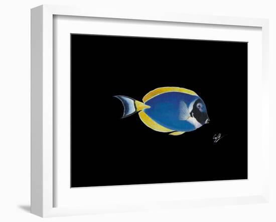 Powder Blue Tang-Durwood Coffey-Framed Giclee Print