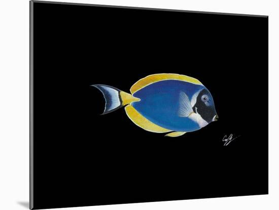 Powder Blue Tang-Durwood Coffey-Mounted Giclee Print