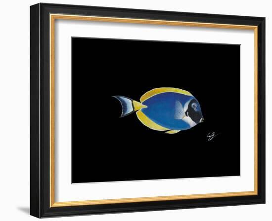 Powder Blue Tang-Durwood Coffey-Framed Giclee Print