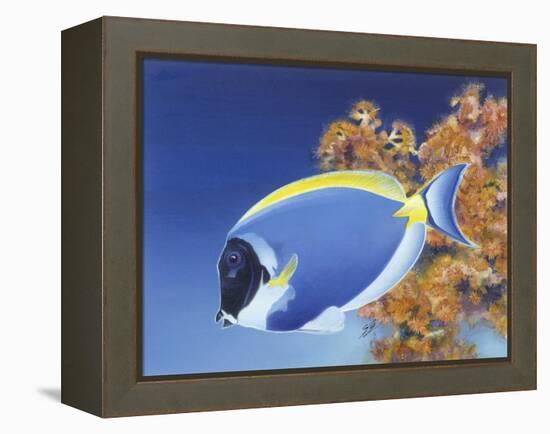 Powder Blue Tang-Durwood Coffey-Framed Premier Image Canvas