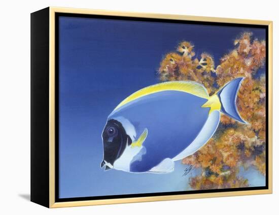 Powder Blue Tang-Durwood Coffey-Framed Premier Image Canvas