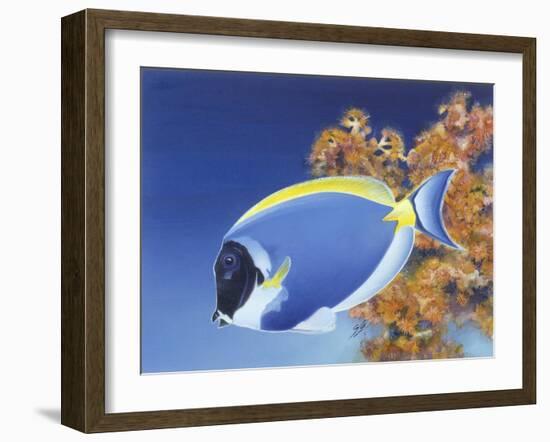 Powder Blue Tang-Durwood Coffey-Framed Giclee Print