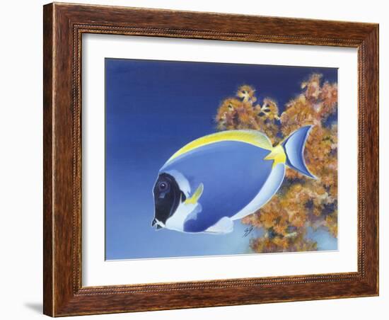 Powder Blue Tang-Durwood Coffey-Framed Giclee Print