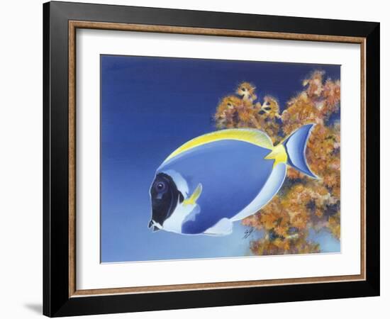 Powder Blue Tang-Durwood Coffey-Framed Giclee Print