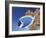 Powder Blue Tang-Durwood Coffey-Framed Giclee Print