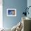 Powder Blue Tang-Durwood Coffey-Framed Giclee Print displayed on a wall