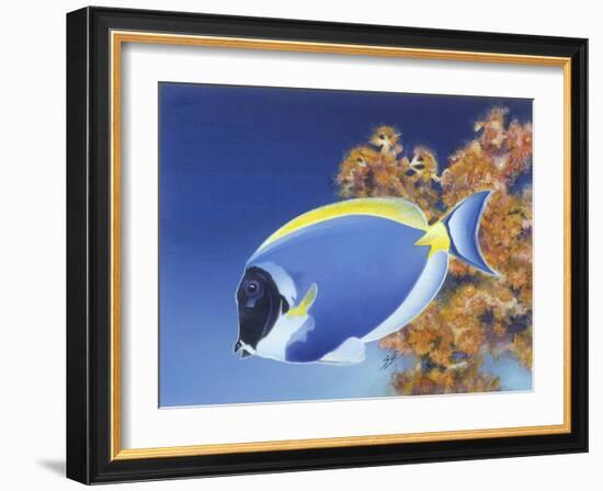 Powder Blue Tang-Durwood Coffey-Framed Giclee Print