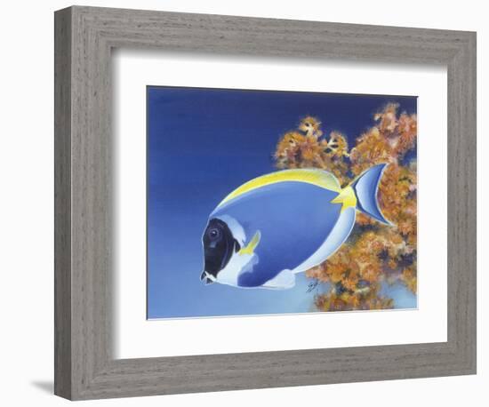 Powder Blue Tang-Durwood Coffey-Framed Giclee Print