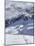 Powder Skiing at Whistler Mountain Resort-Christian Kober-Mounted Photographic Print