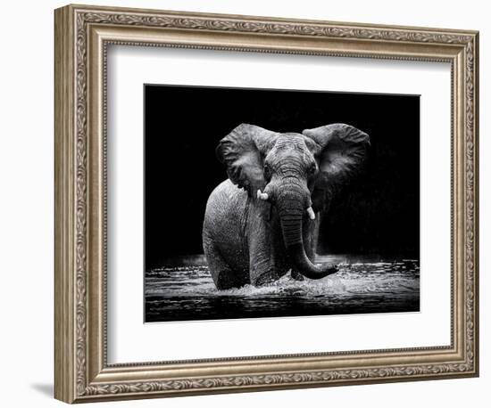 Power 1-Gorazd Golob-Framed Photographic Print