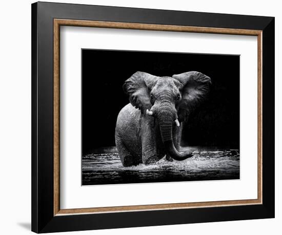 Power 1-Gorazd Golob-Framed Photographic Print