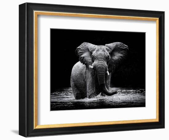 Power 1-Gorazd Golob-Framed Photographic Print