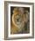 Power and Presence: African Lion-Joni Johnson-godsy-Framed Art Print