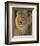 Power and Presence: African Lion-Joni Johnson-godsy-Framed Art Print