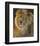 Power and Presence: African Lion-Joni Johnson-godsy-Framed Art Print