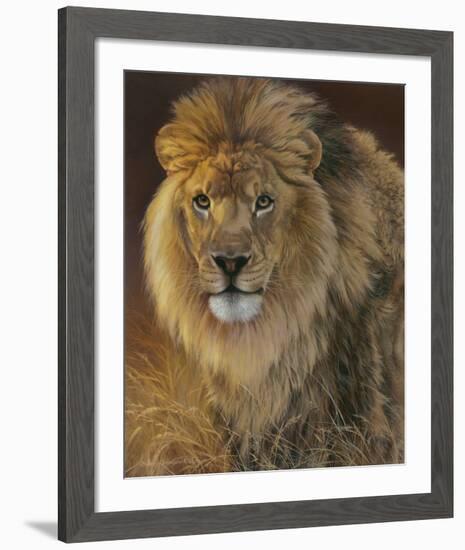 Power and Presence - African Lion-Joni Johnson-godsy-Framed Art Print