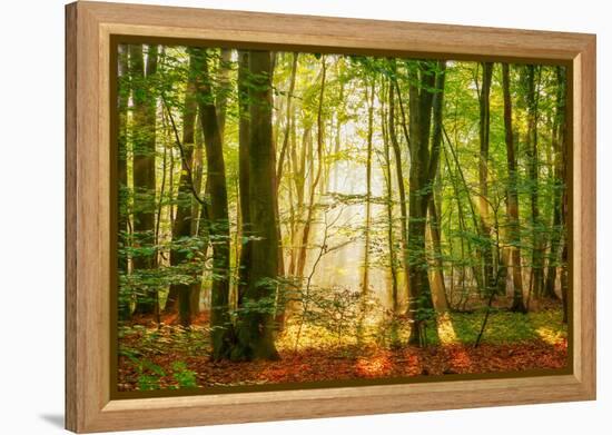 Power Beam-Lars Van de Goor-Framed Premier Image Canvas