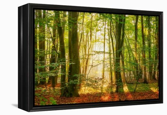 Power Beam-Lars Van de Goor-Framed Premier Image Canvas