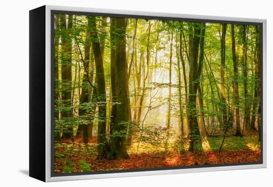 Power Beam-Lars Van de Goor-Framed Premier Image Canvas