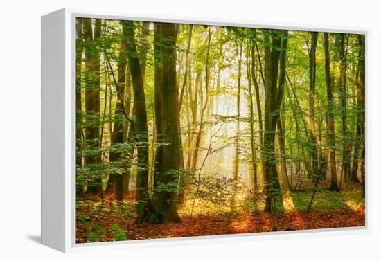 Power Beam-Lars Van de Goor-Framed Premier Image Canvas