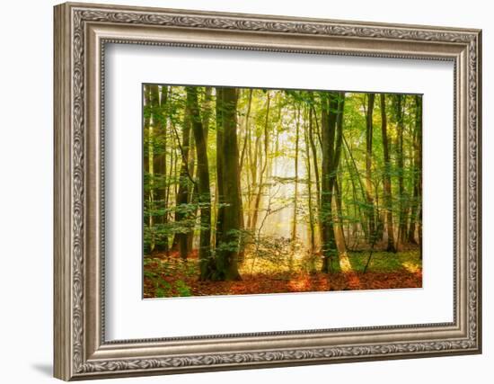 Power Beam-Lars Van de Goor-Framed Photographic Print