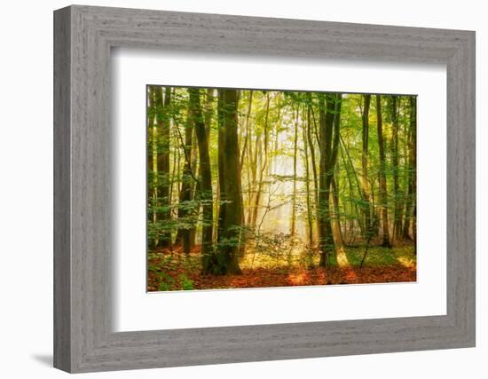 Power Beam-Lars Van de Goor-Framed Photographic Print