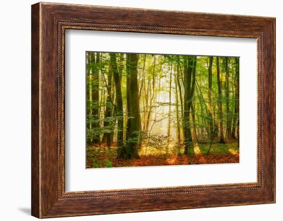 Power Beam-Lars Van de Goor-Framed Photographic Print