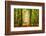 Power Beam-Lars Van de Goor-Framed Photographic Print