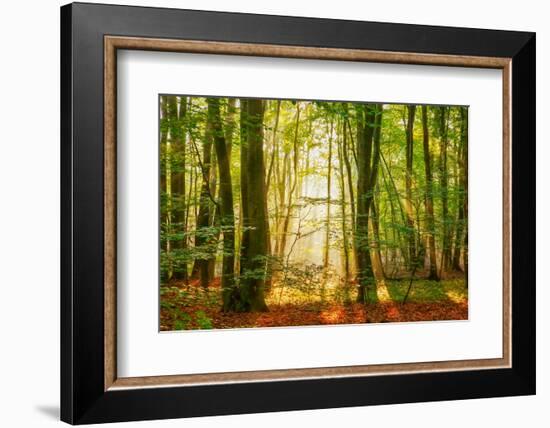 Power Beam-Lars Van de Goor-Framed Photographic Print